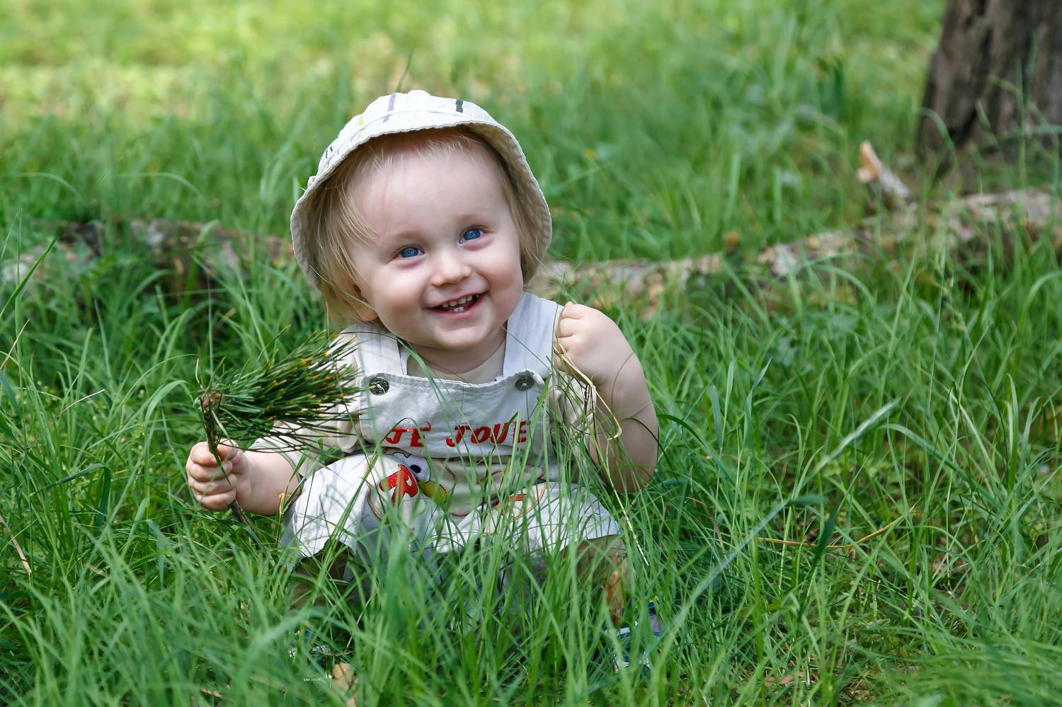 Photo #7205177