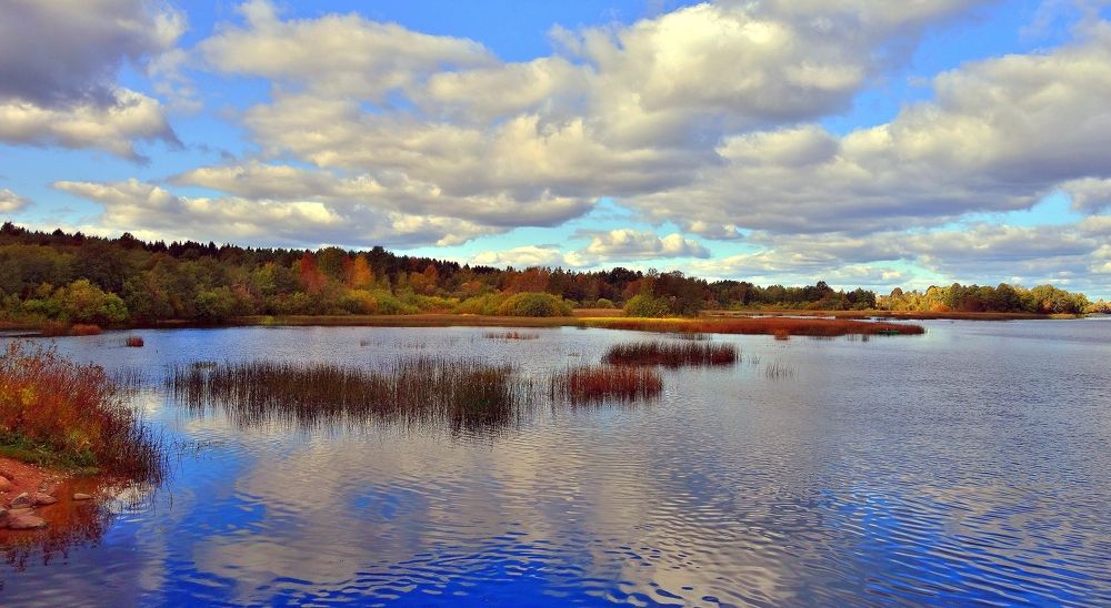 Photograph by Николай Шумилов