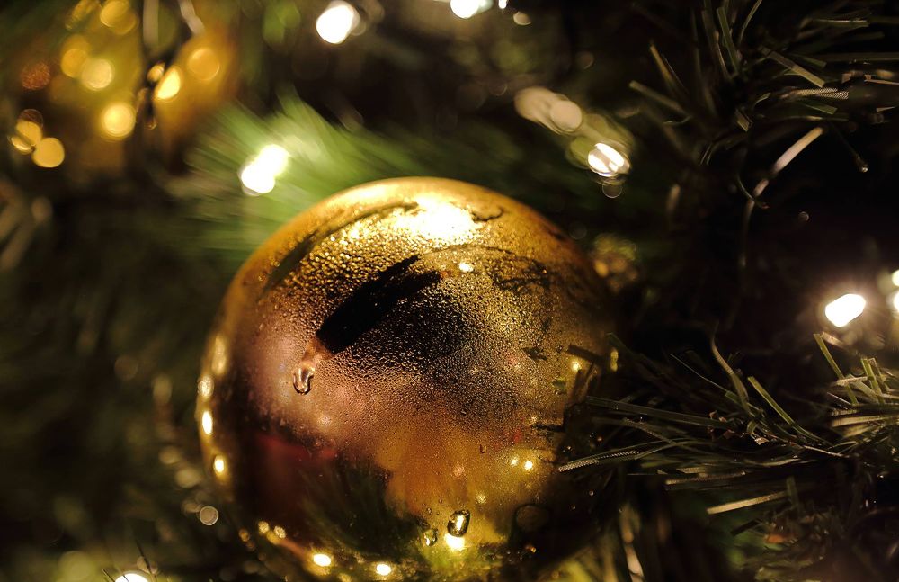 Photograph by marianna chechik