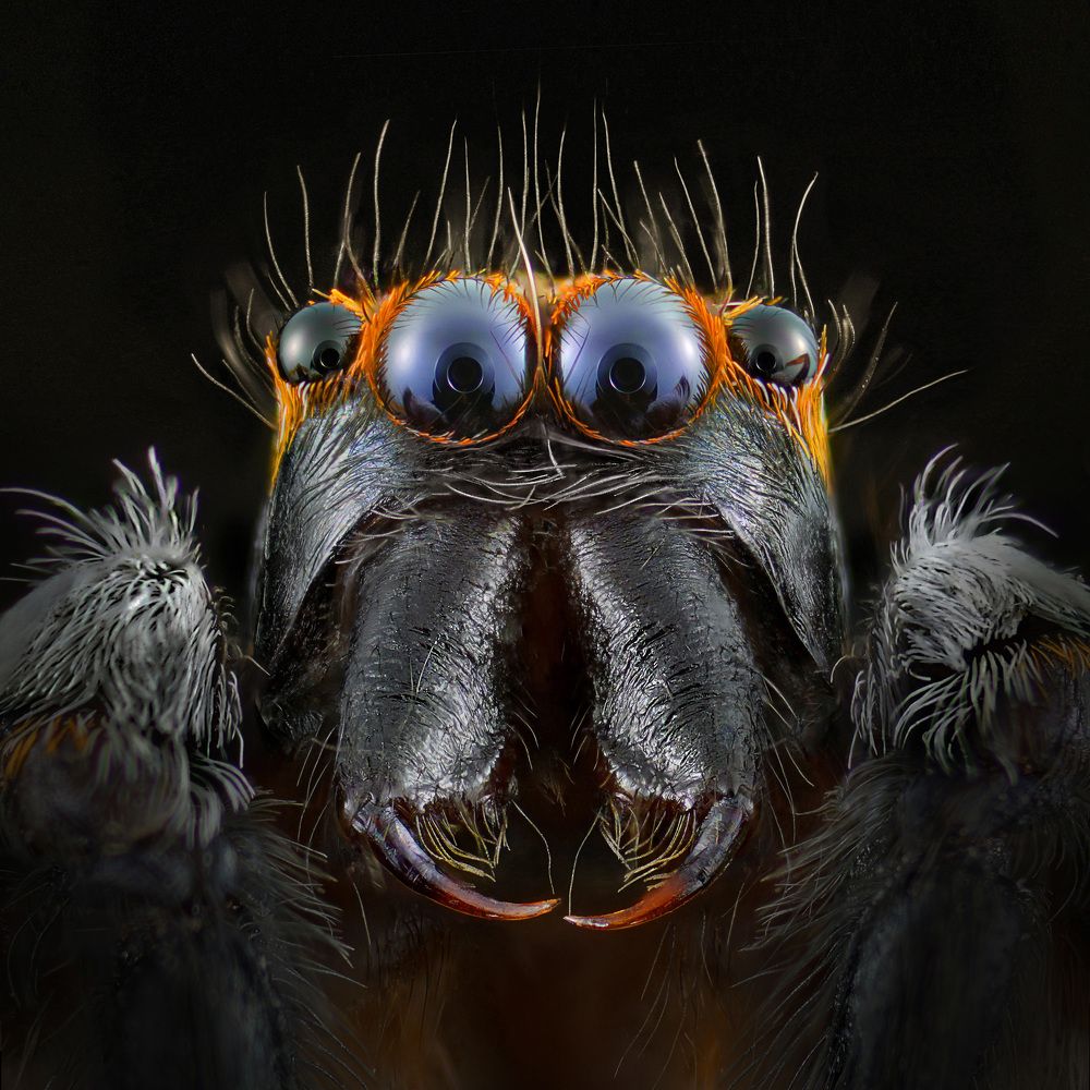 Photograph by Eduardo Modolo