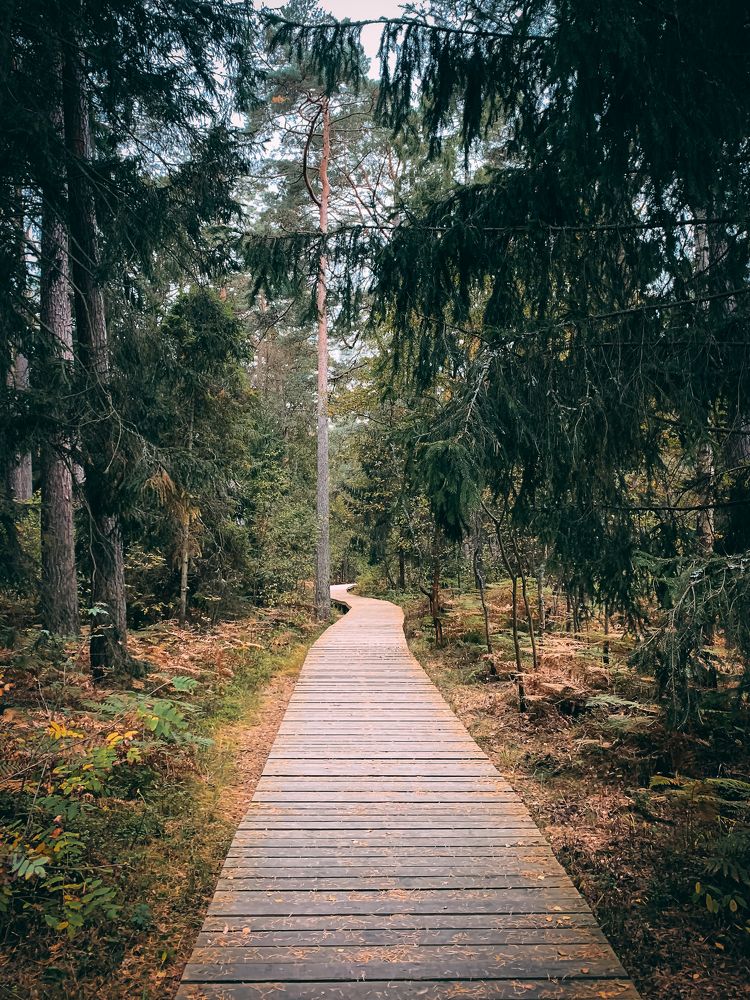 Photograph by Кабиров Руслан