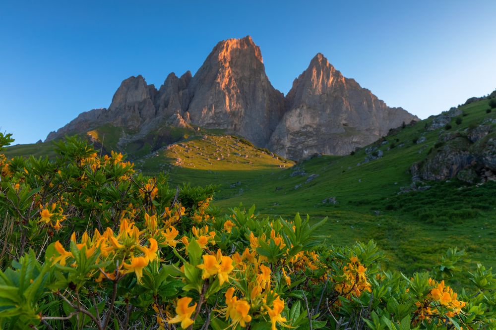 Photograph by Евгения Чех