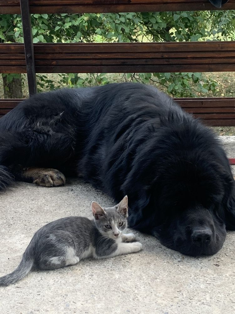 Photograph by Наталья