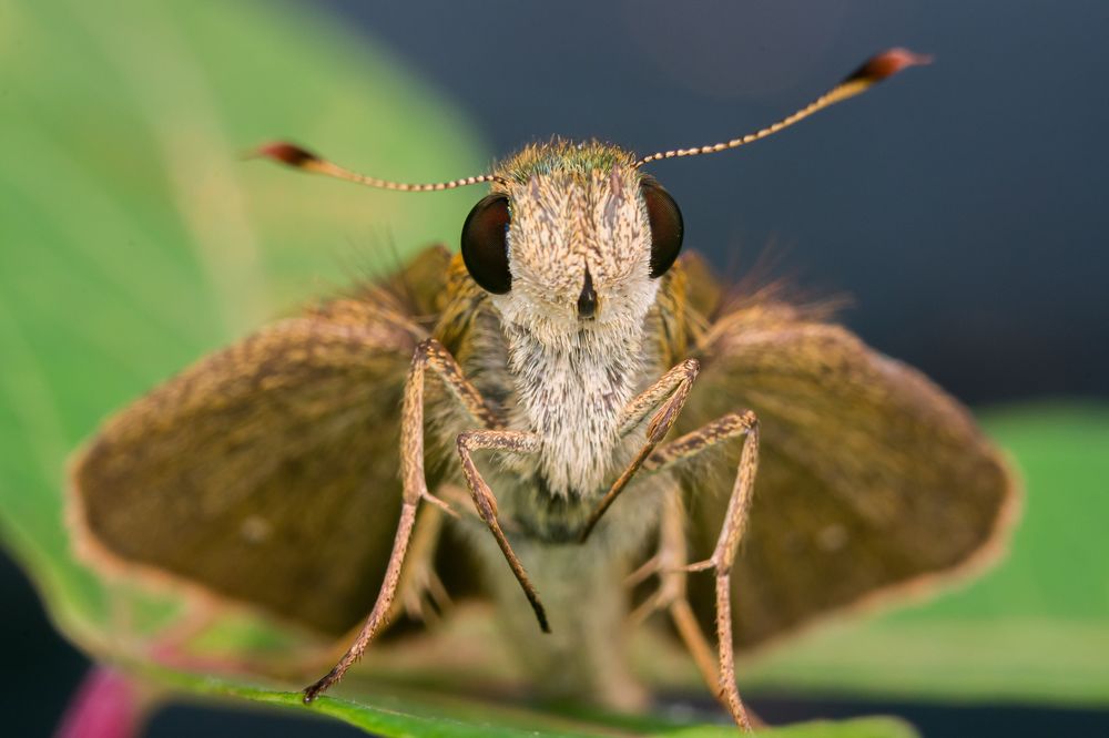 Photograph by achmad kamal kamal