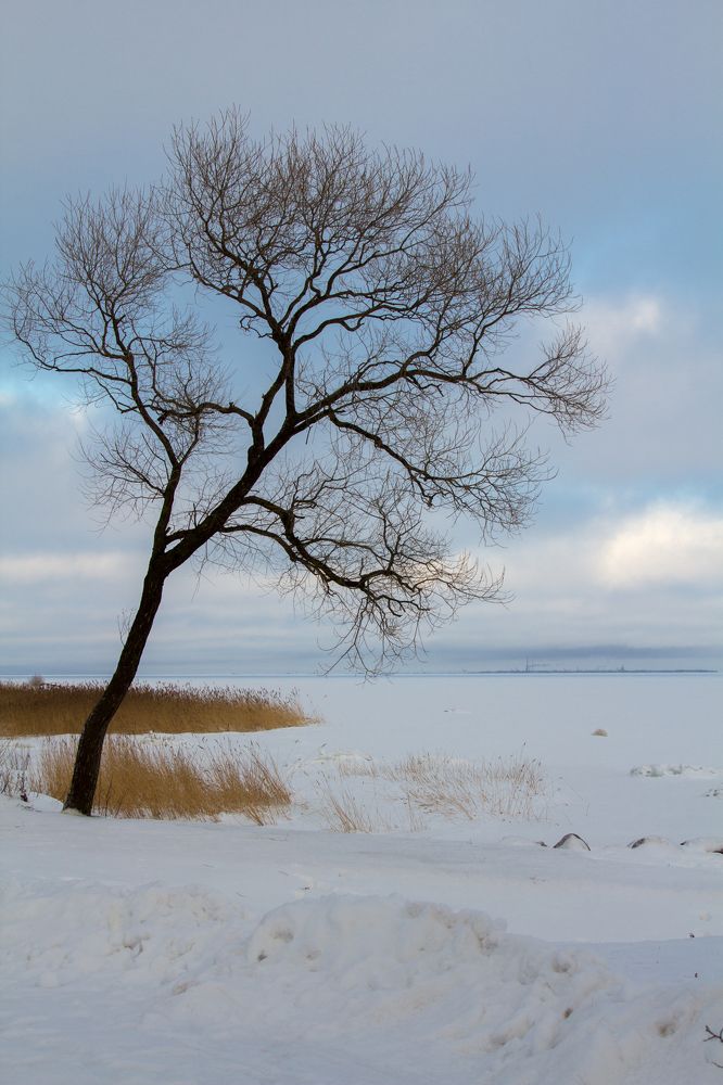 Photograph by Olga Min