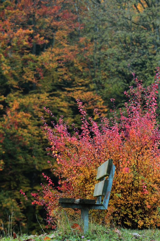 Photograph by Диана Ульянцева