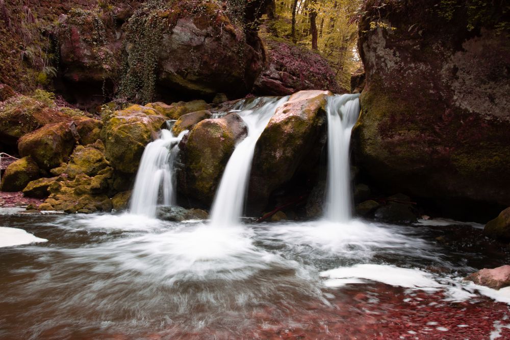 Фотография автора Diana van Hoof