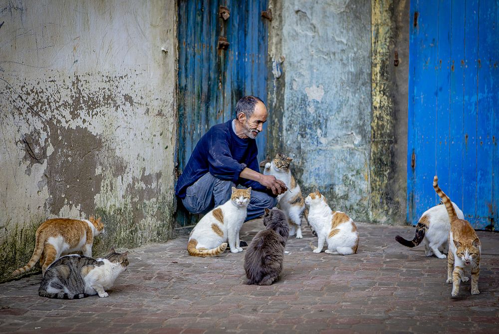 Street life in Essaouira