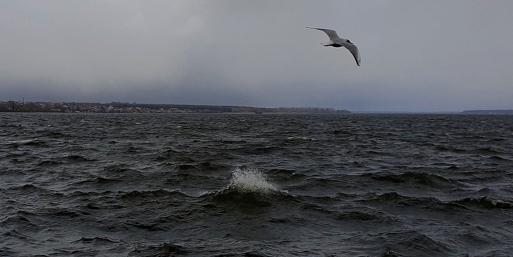 Фотография автора Igor Dyomin