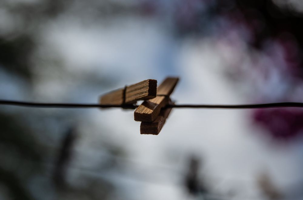 Photograph by marianna chechik