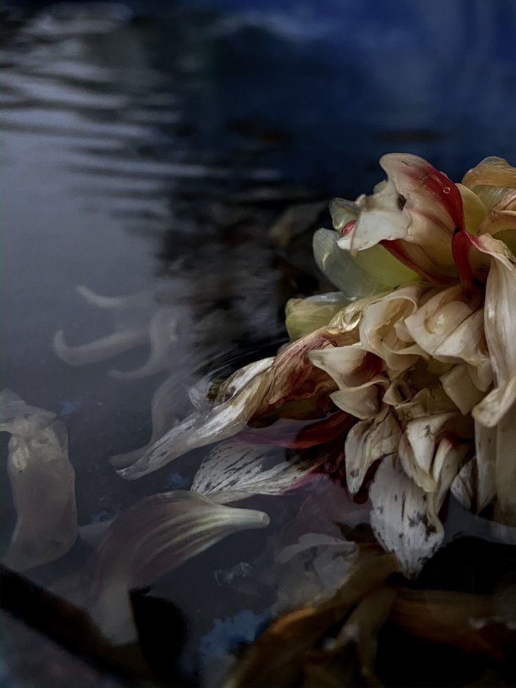 Photograph by Анна