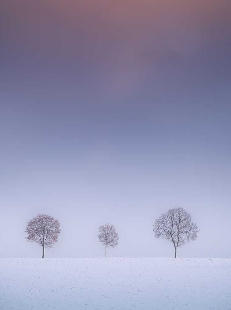 Photograph by Tefik Rustemov