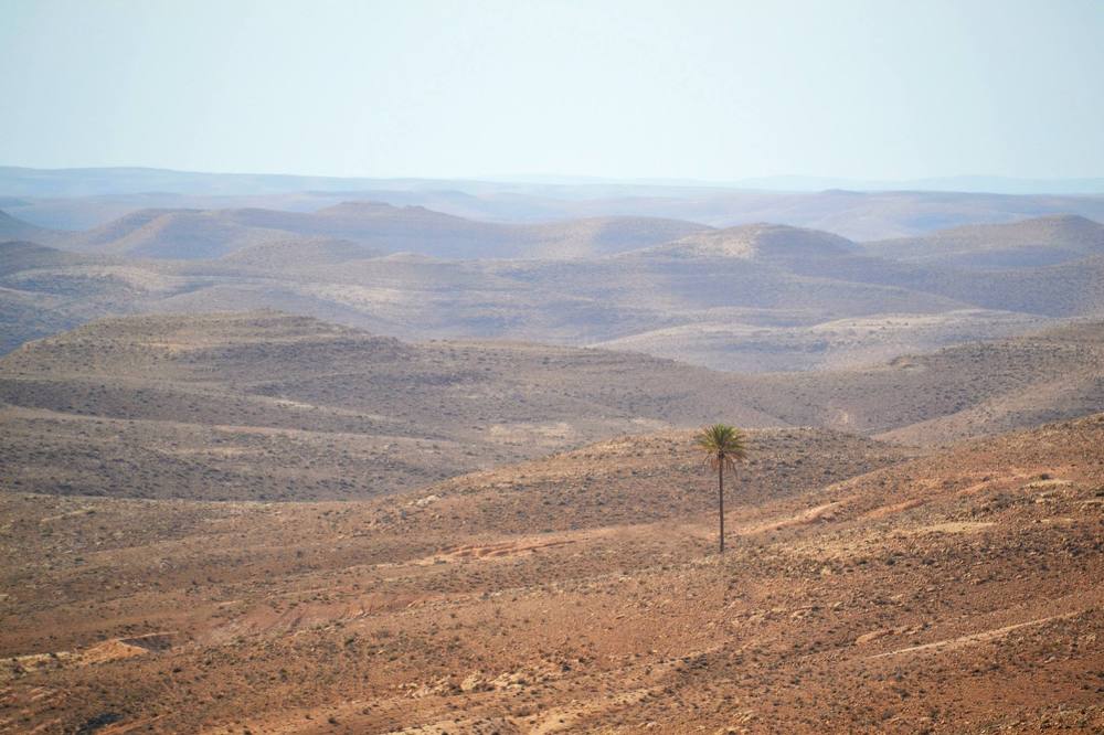 Photograph by Новиков Михаил