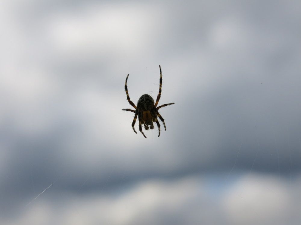 Photograph by ЭЛЬМИРА  ИСМАИЛОВА