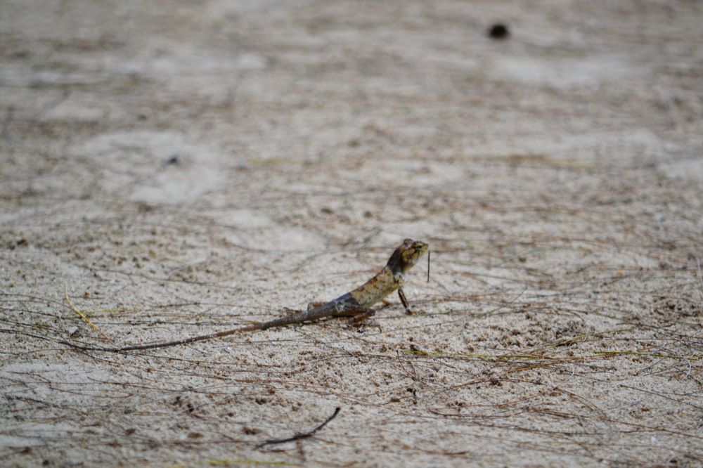 Photograph by Новиков Михаил