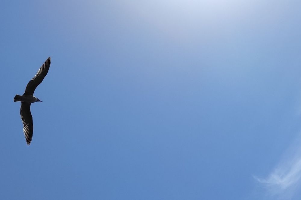 Photograph by Lidija Jevremovic