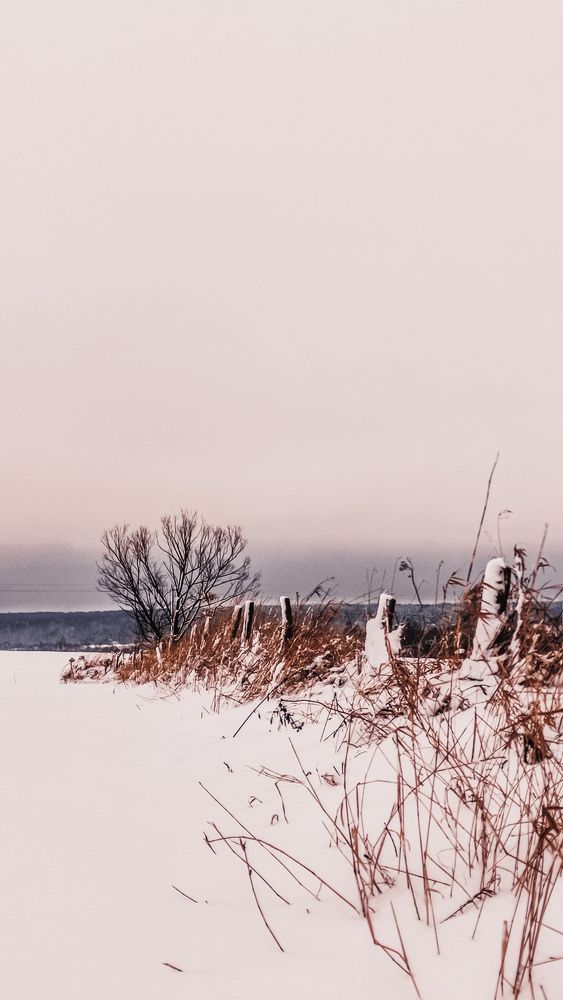 Photograph by Екатерина Фетисова