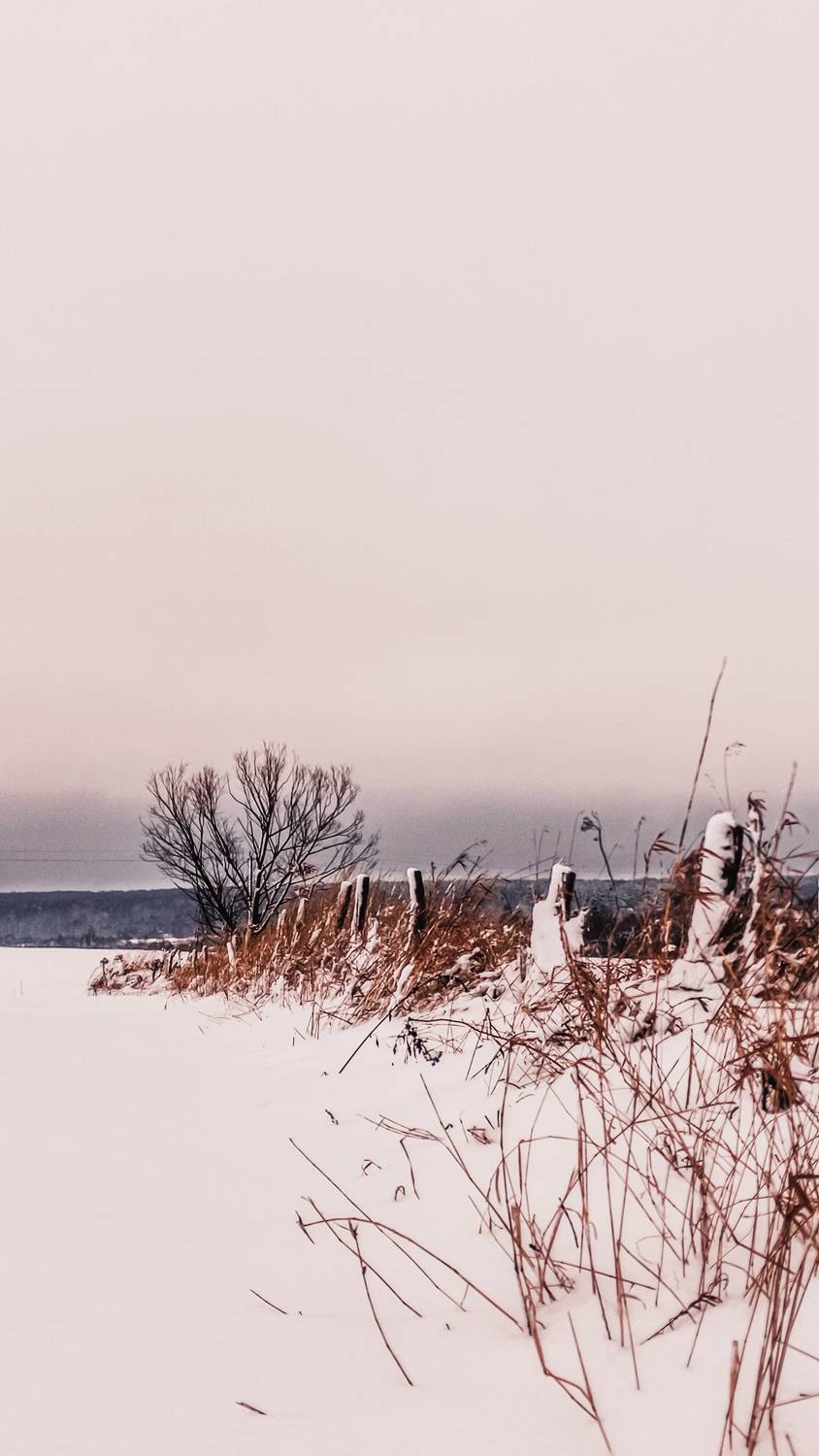 Photo #7205778