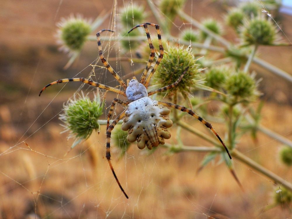 Photograph by Дмитрий Батагов
