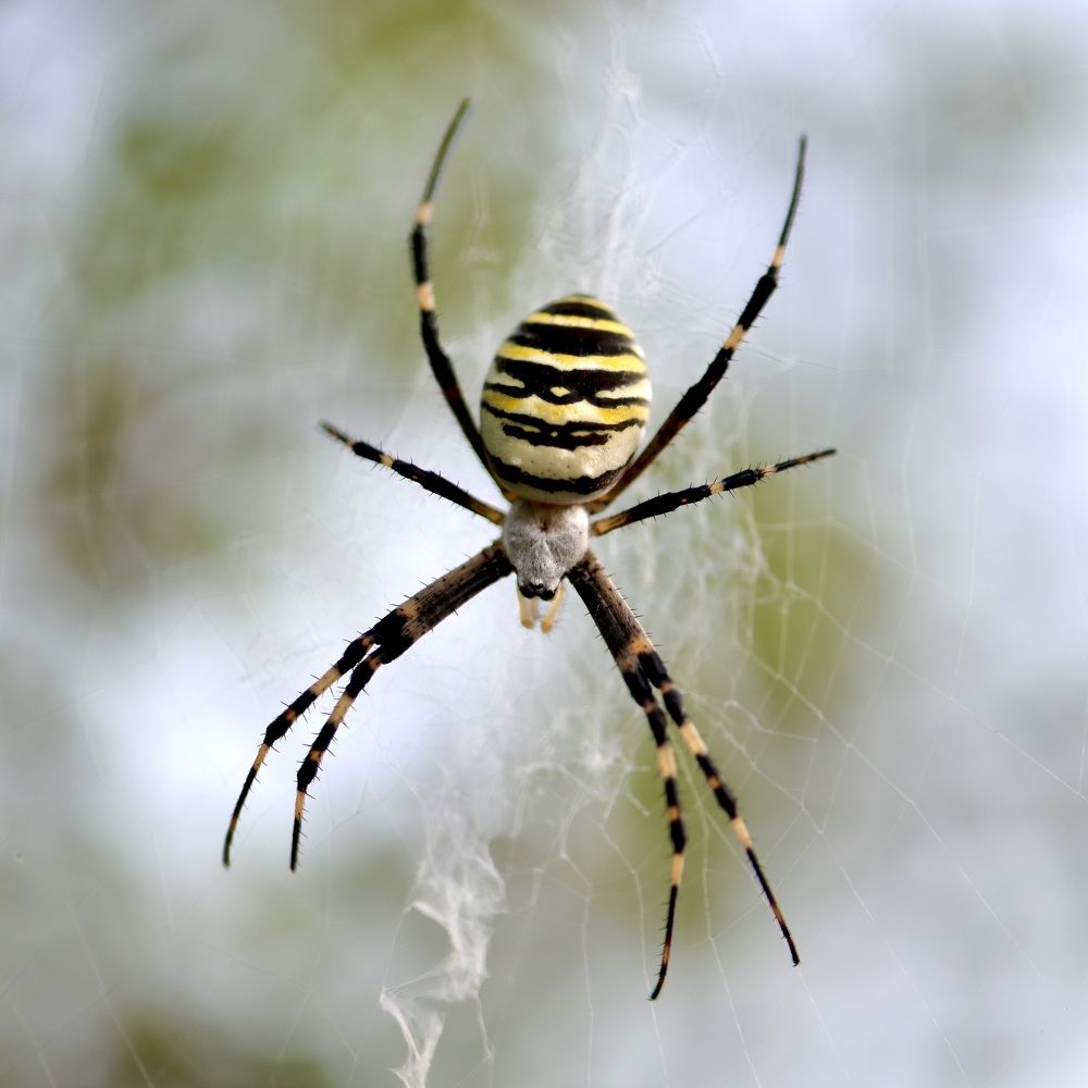 Photograph by Дмитрий Батагов