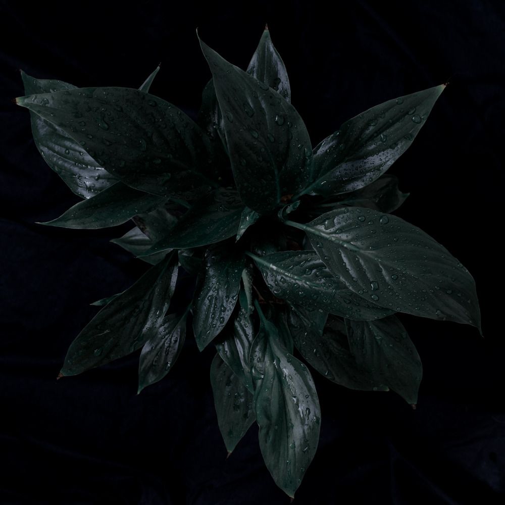 Photograph by Ксюша Черотченко