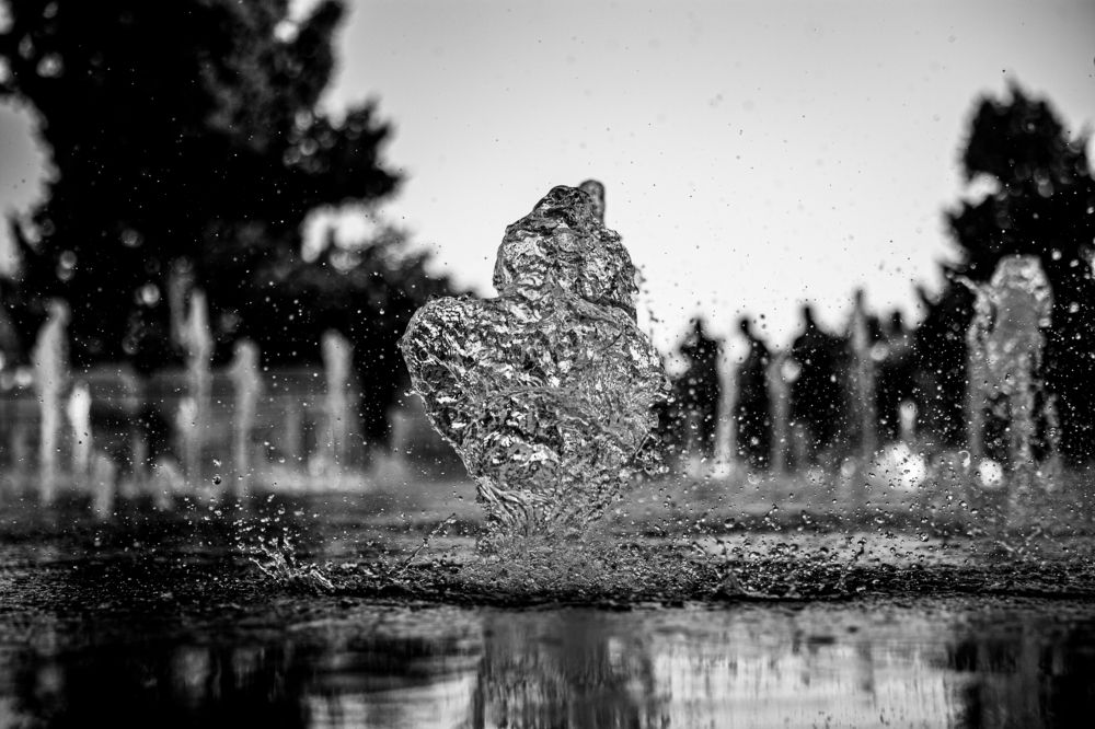 Photograph by marianna chechik