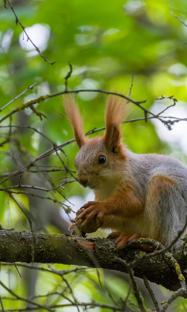 Фотография автора Shilo Vladislav