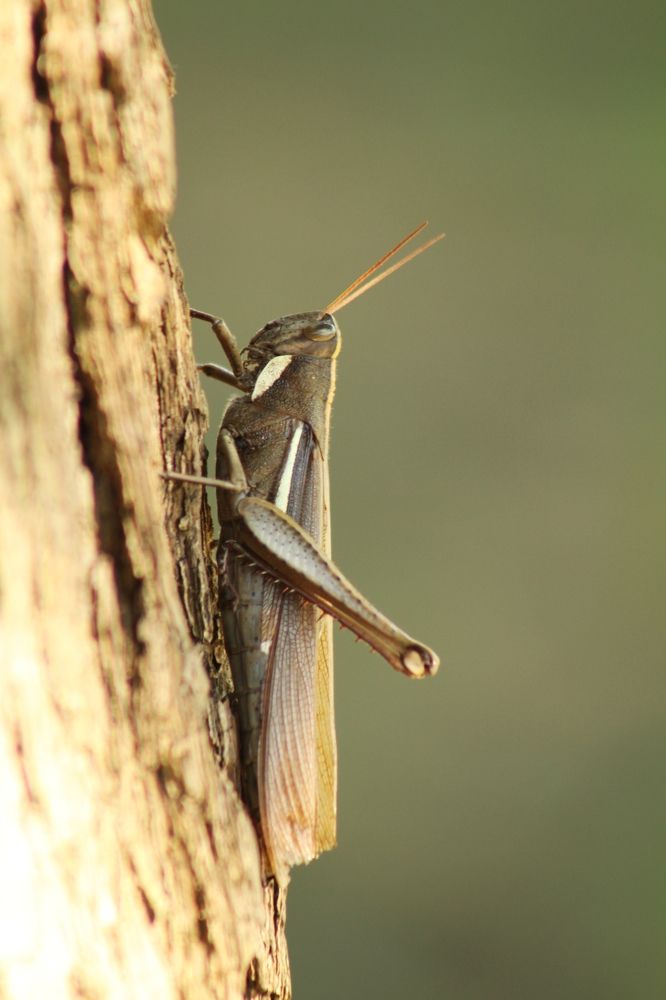Photograph by Ricardo Venerando