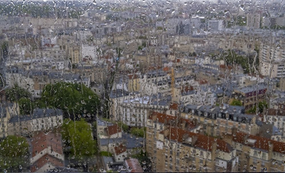 Фотография автора robert bared