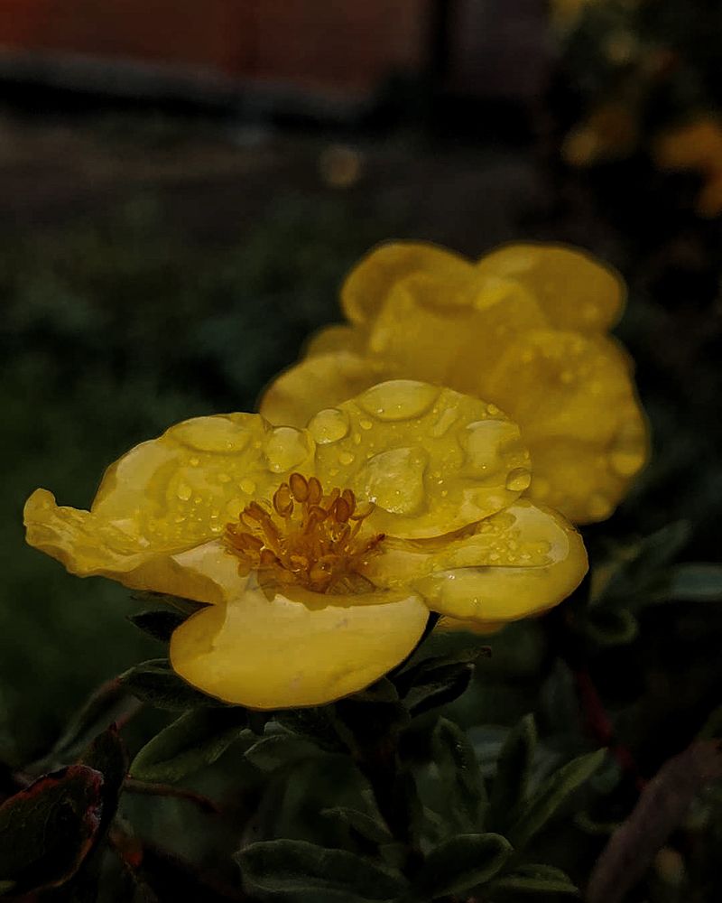 Photograph by Наталья Балабанова