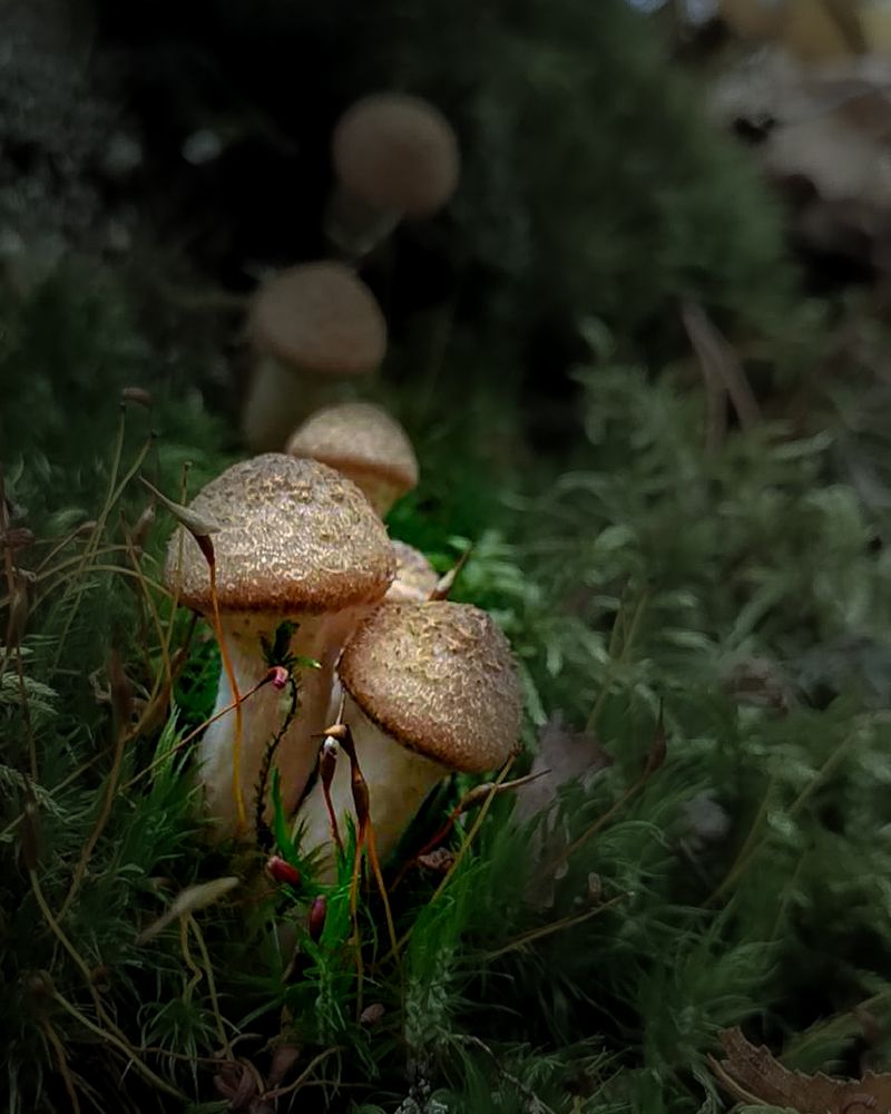 Photograph by Наталья Балабанова