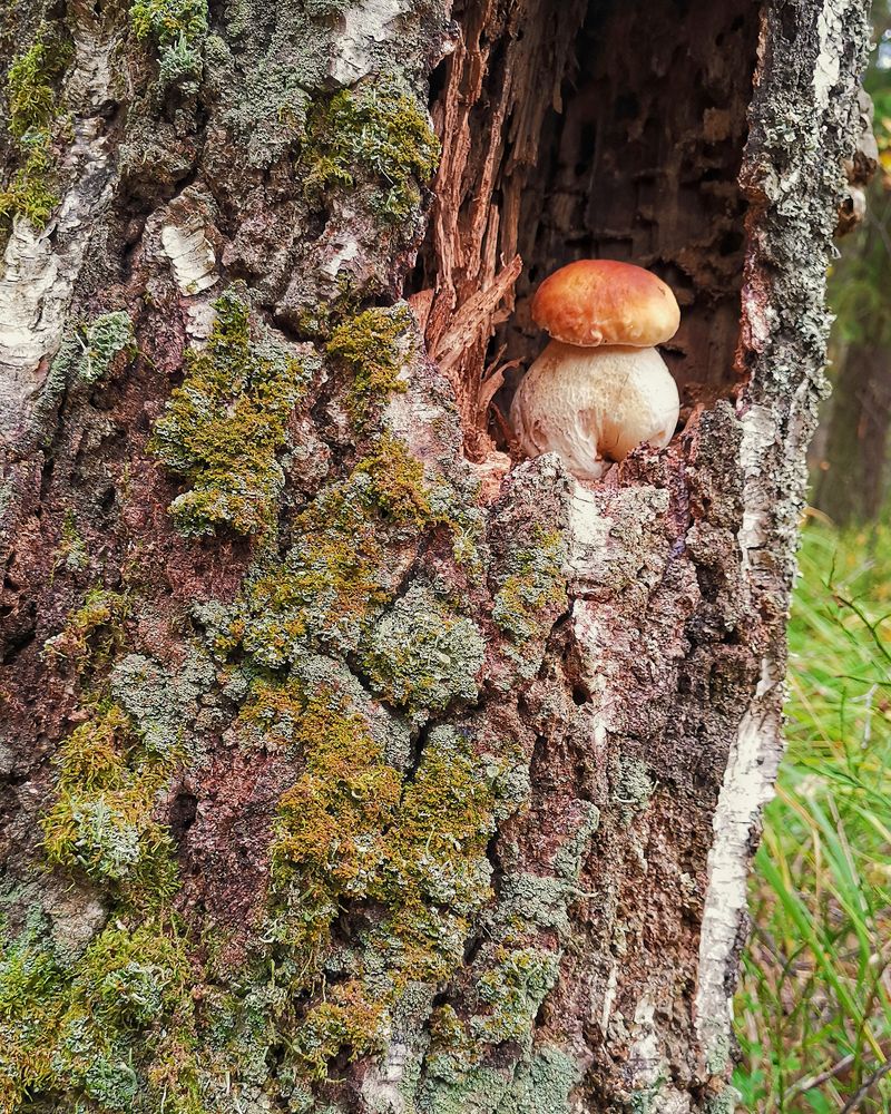 Photograph by Наталья Балабанова