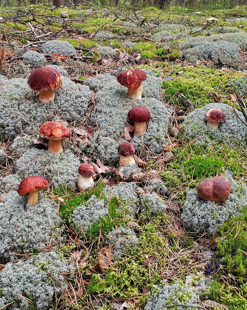 Photograph by Наталья Балабанова