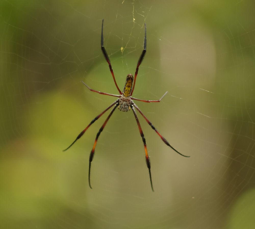 Фотография автора Cláudia Maria Fialho Garcia