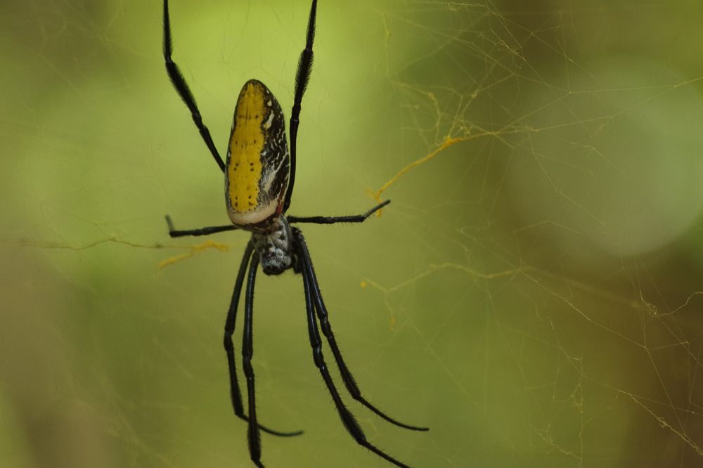 Фотография автора Cláudia Maria Fialho Garcia