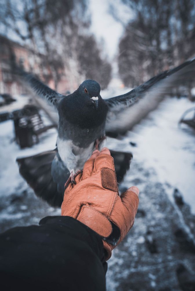 Photograph by Сергей Конопленко