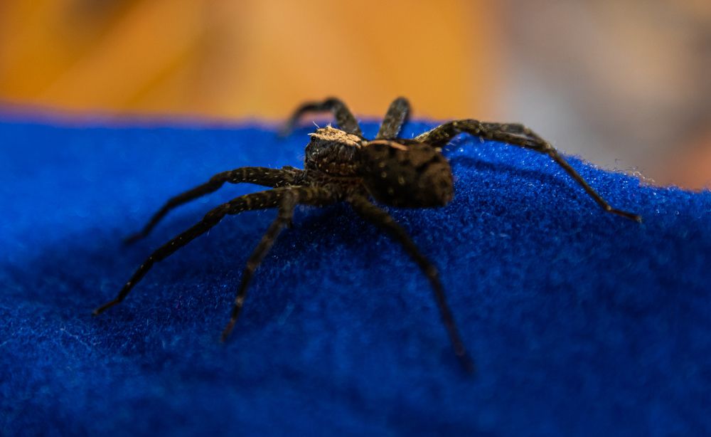 Photograph by Andrea