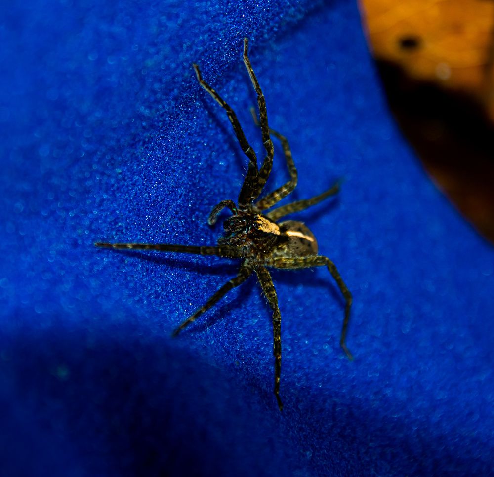 Photograph by Andrea