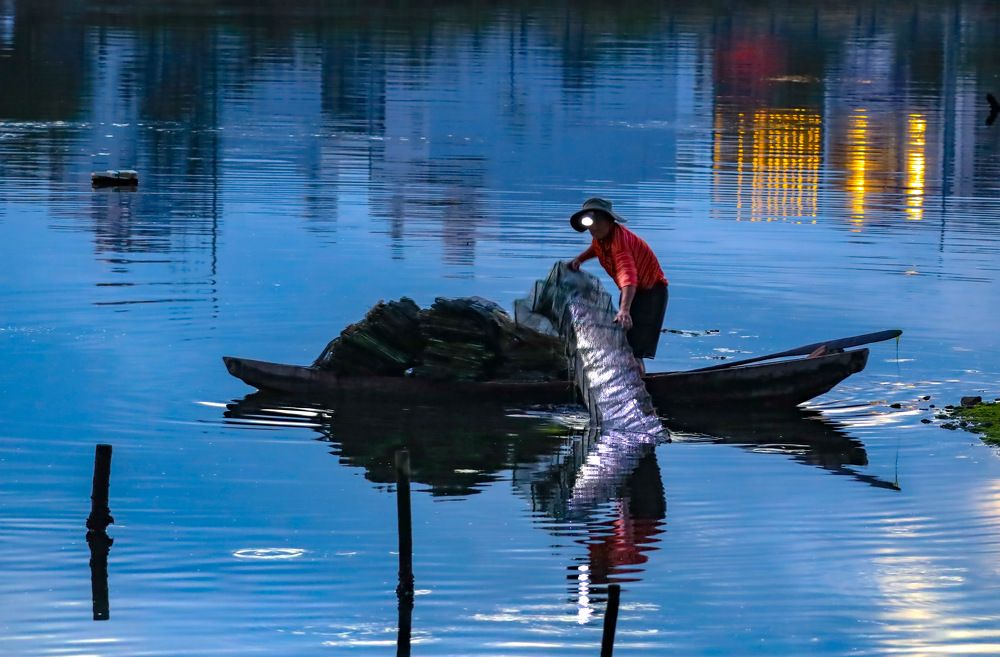 Photograph by Dũng Phùng