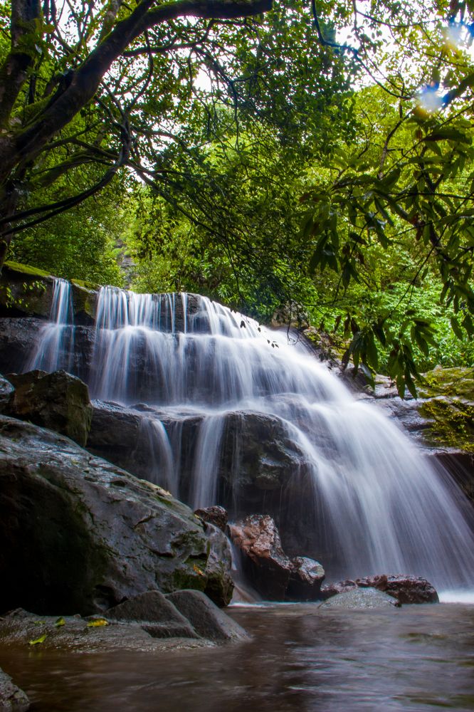 Nature soothes everything.