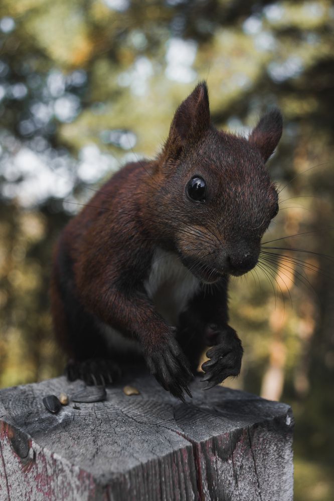 Photograph by Евгений Крюков