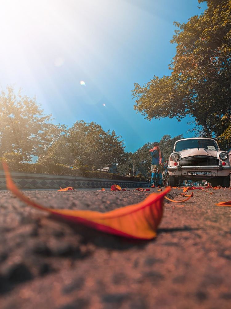 Photograph by Trishik Bose