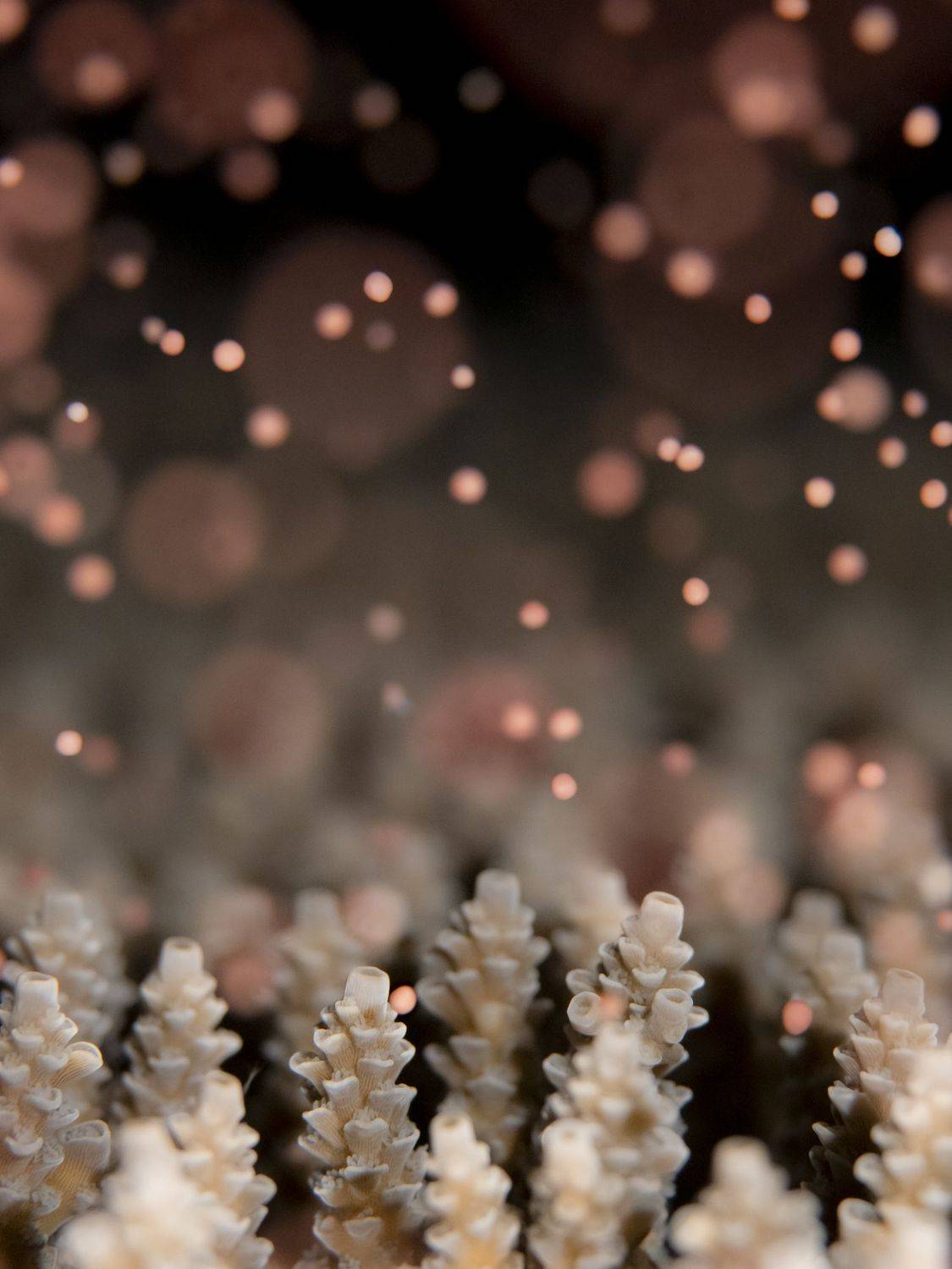 Фотография #7206499