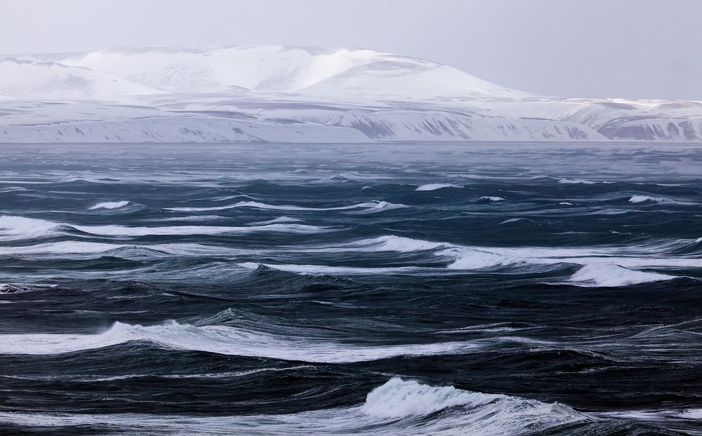 Фотография автора Дмитрий Уткин