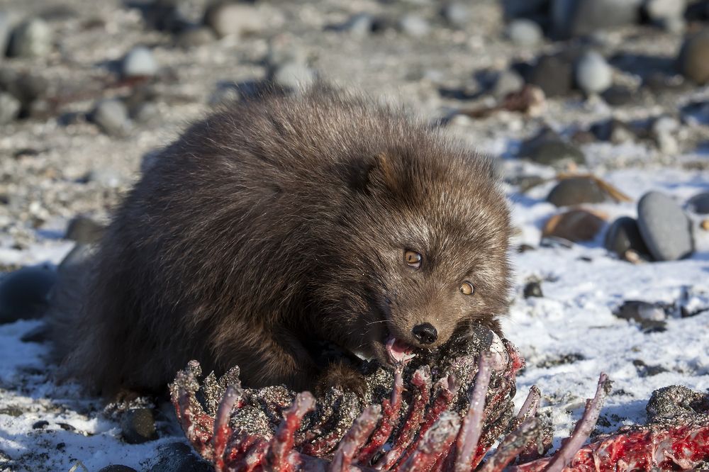 Фотография автора Дмитрий Уткин