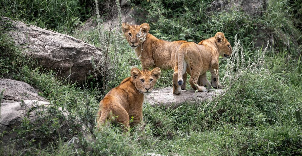 Photograph by Sergey Puponin