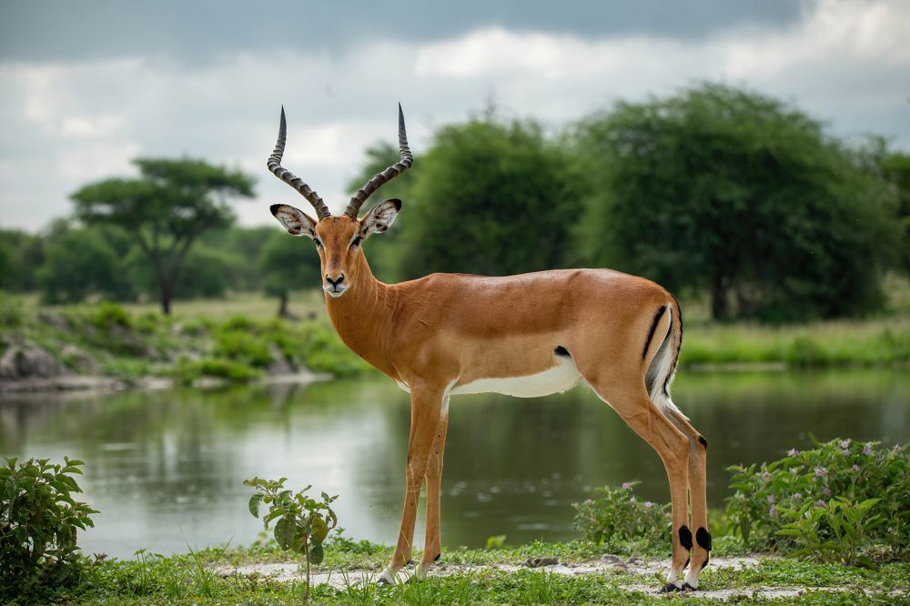 Photograph by Sergey Puponin