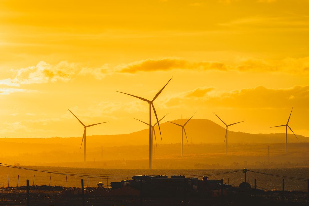 Photograph by Vu Khoa Nguyen Khanh