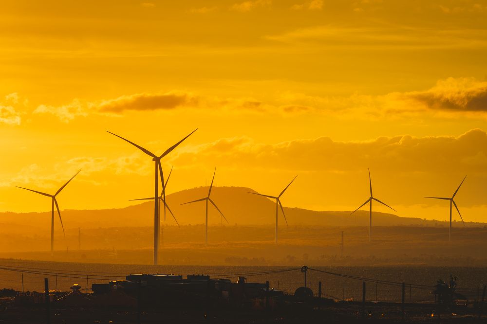 Photograph by Vu Khoa Nguyen Khanh