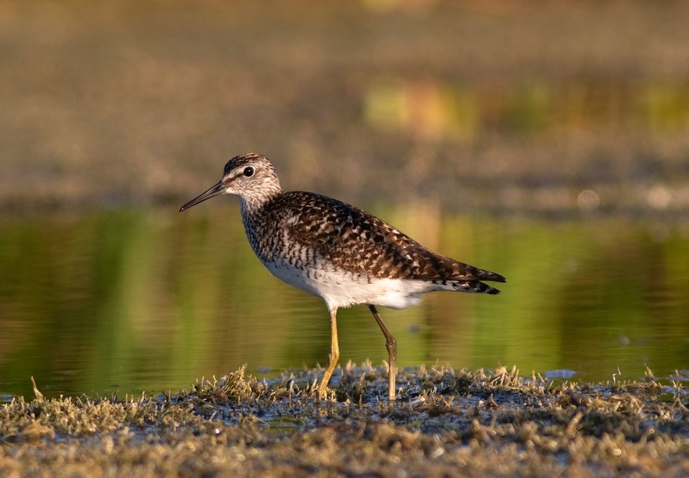 Photograph by Павел Краснослободцев